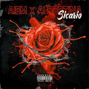 sicario-sicario是什么意思