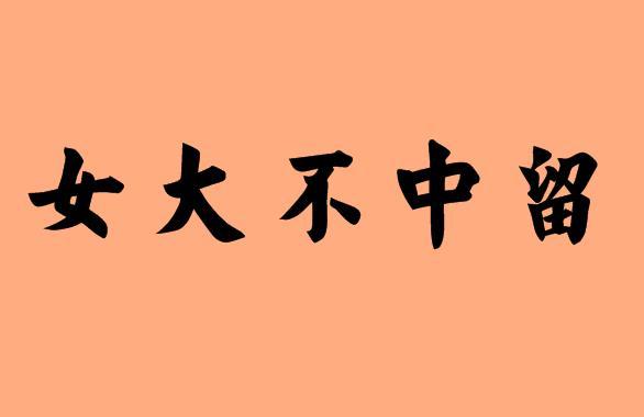 大不一樣-大不一樣的成語(yǔ)