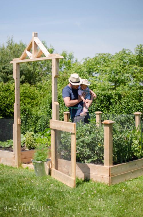 garden-gardening