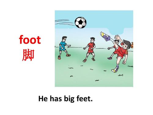 feet-feet的音標(biāo)