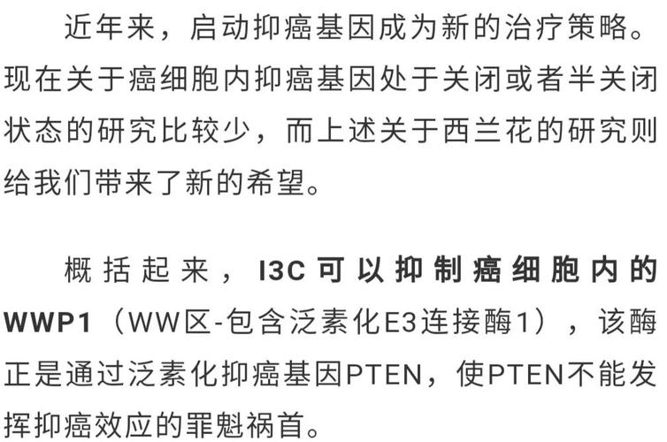 petn-petn的制備
