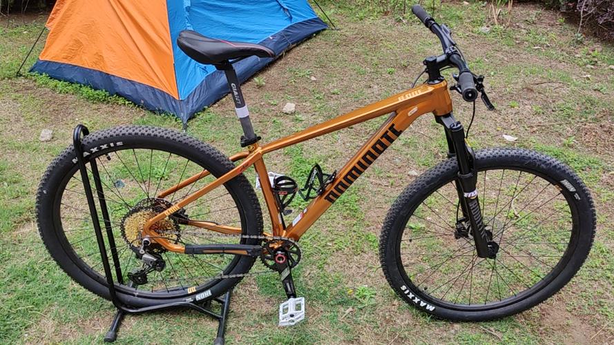 dominates-dominate山地車