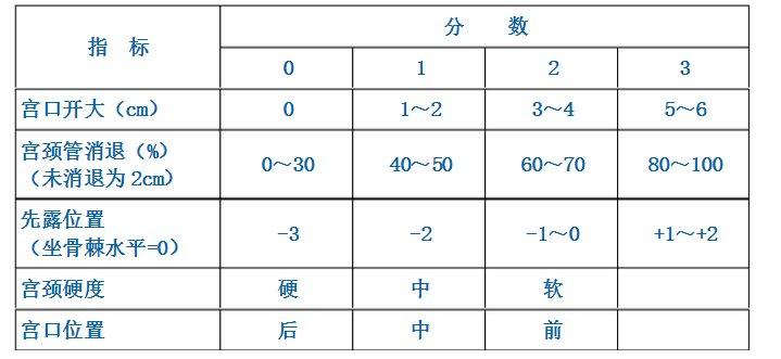 bishop-bishop評分是什么意思