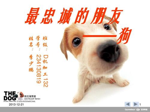 忠誠(chéng)的伙伴-忠誠(chéng)的伙伴英語(yǔ)