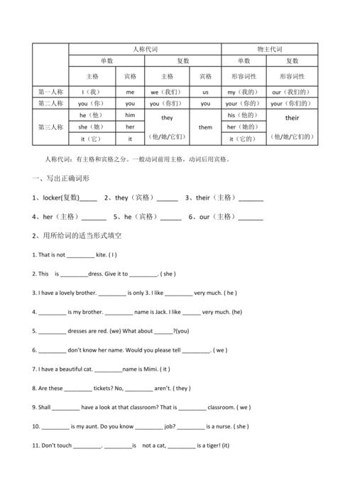 人稱代詞練習(xí)題-人稱代詞專項訓(xùn)練及答案