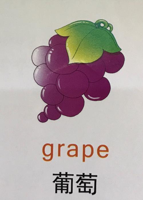 葡萄英語怎么讀-葡萄英語怎么讀grapes