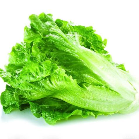 生菜的英文-生菜的英文怎么說(shuō)