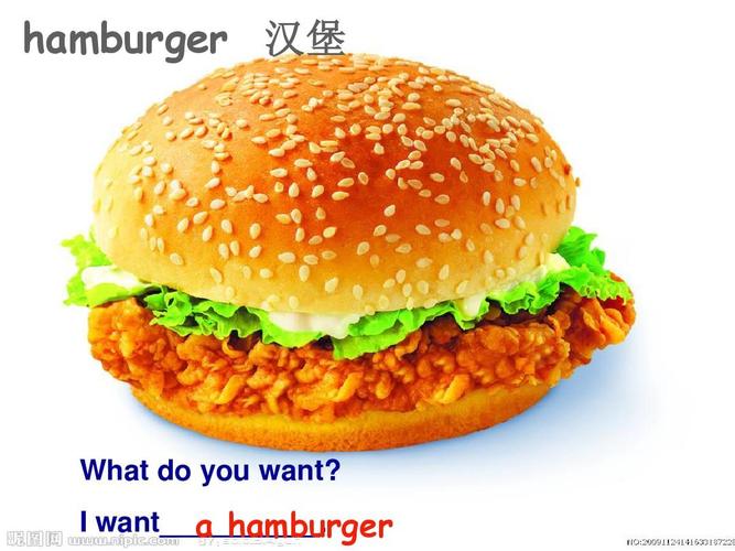漢堡包英語怎么說-一些漢堡包英語怎么說