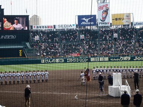 甲子園-甲子園是什么意思