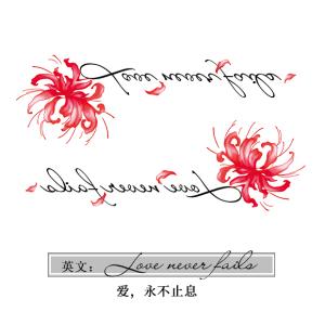 彼岸花的英文-彼岸花的英文縮寫