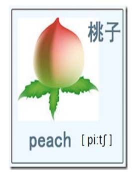 peach怎么讀-peach怎么讀音英語怎么讀