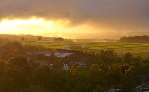 raining sunshine-